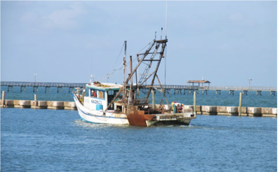 Vessels of the Fishing Industry